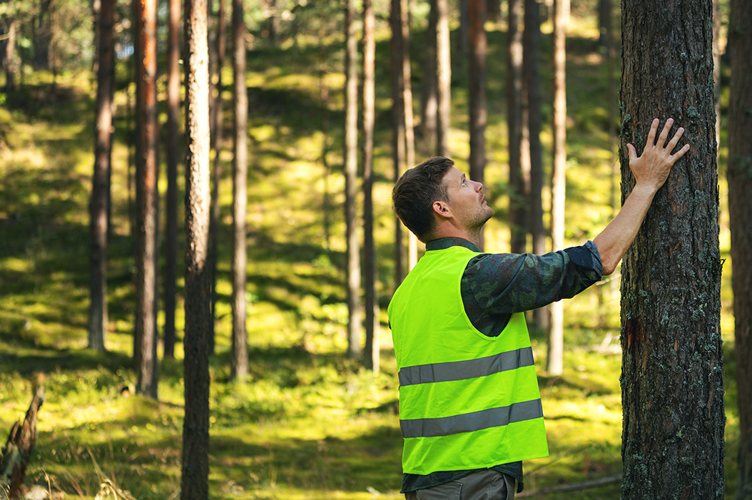 DGB Group Regulators and Policymakers